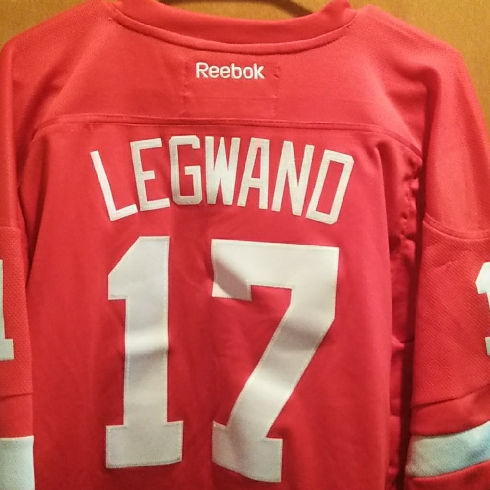 David Legwand Detroit Redwings jersey